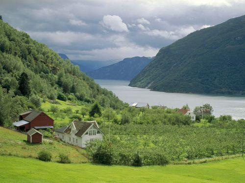 De Sognefjord